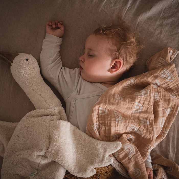 Swaddles & Pucktücher